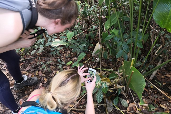 Day Hike in the National Park - Photo 1 of 5